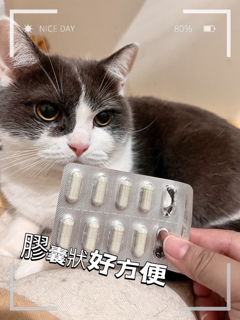 試用